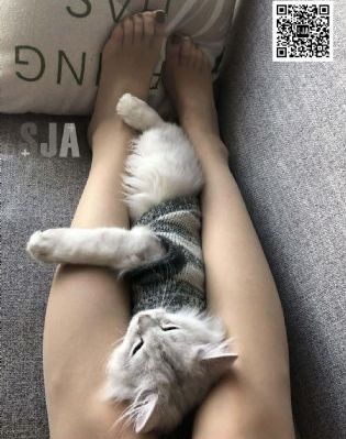 国产最牛的车是哪一款_国产剧高清免费观看